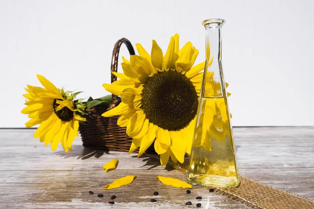 Sunflowers with sunflower oil